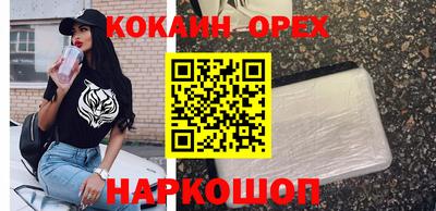 apvp Моздок