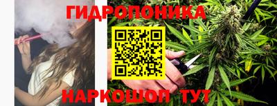 индика Можга