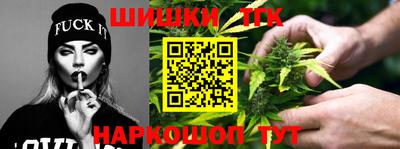 индика Можга