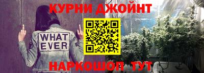 индика Можга