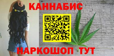 индика Можга
