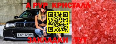 индика Можга