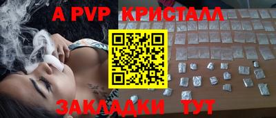 индика Можга